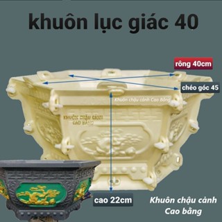 khuôn đúc chậu lục giác 40  khuôn chậu ABS có lòng trong  
