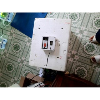 Máy ấp trứng tự lắp thùng xốp 35 quả tự động điện 220V, mất điện dùng Ắc quy 12V