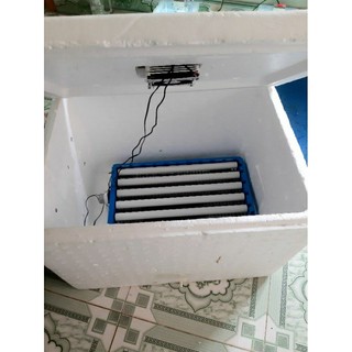 Máy ấp trứng tự lắp thùng xốp 35 quả tự động điện 220V, mất điện dùng Ắc quy 12V