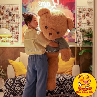 Gấu Bông Teddy Head Tales To Khổng Lồ Cao Cấp