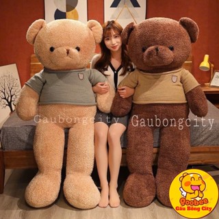  Gấu Bông Teddy Head Tales To Khổng Lồ Cao Cấp 