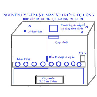 Máy ấp trứng tự lắp thùng xốp 35 quả tự động điện 220V, mất điện dùng Ắc quy 12V