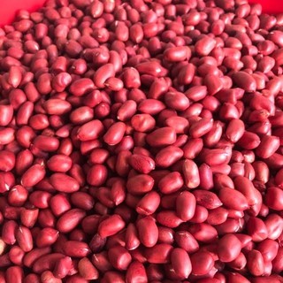 1kg Lạc đỏ - Đậu phộng đỏ bóc thủ công