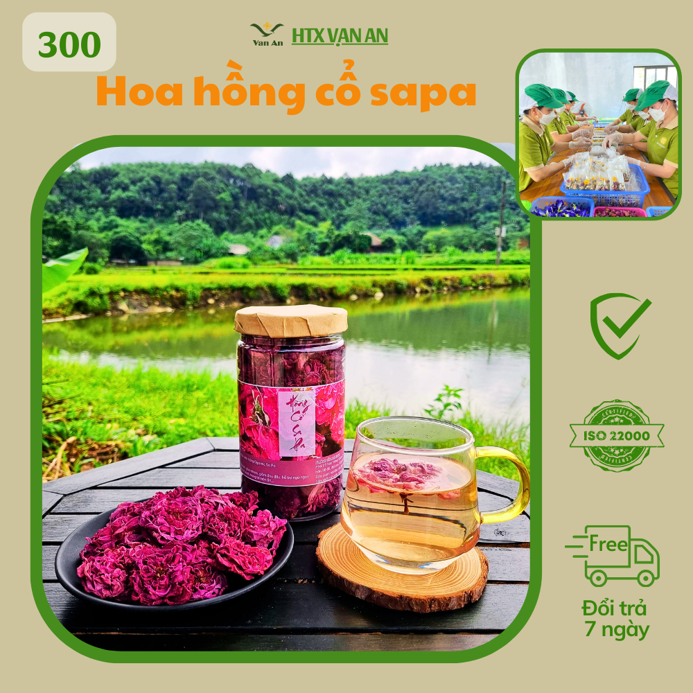 100G Trà hoa hồng cổ sapa Sản phẩm OCOP của HTX Vạn An sạch an toàn