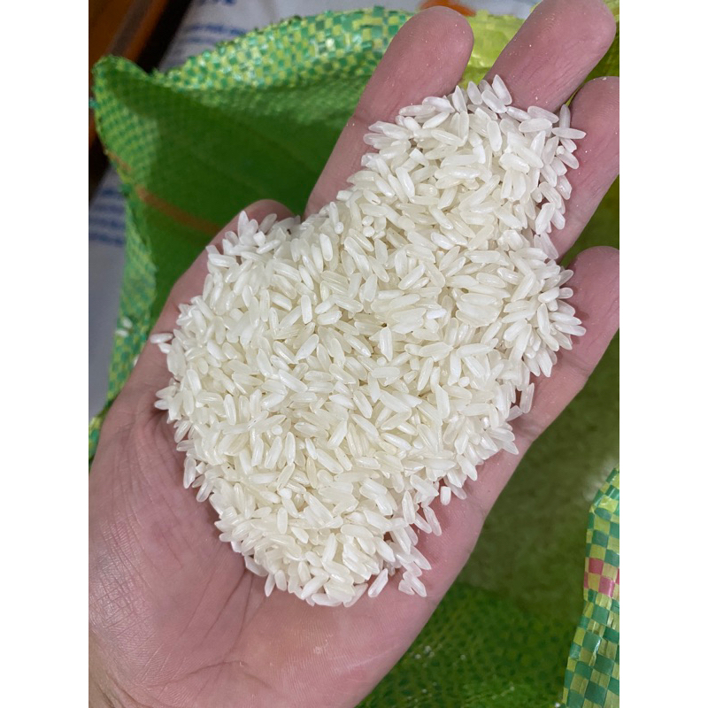 [10kg] Gạo 504, nở xốp tơi cơm