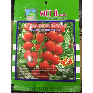 Hạt giống Cà chua cherry đỏ (bi đỏ) hàng công ty