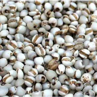 Bột Ý Dĩ Ủ Trắng Mịn Da