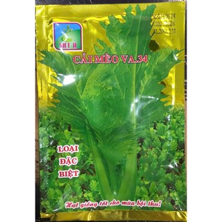 Hạt giống cải mèo hà giang hàng công ty