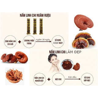 Nấm Linh Chi Hàn Quốc