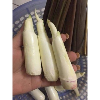 Củ niễng đặc sản Nam Định