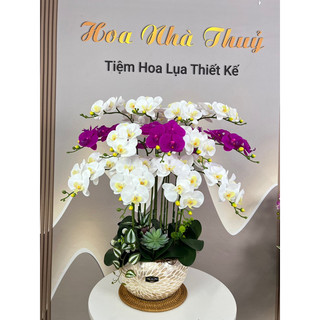 Mẫu 2024- Chậu khảm trai cắm hoa lan hồ điệp cao su cao cấp, chậu hoa cắm 1 hướng 13 cành hoa