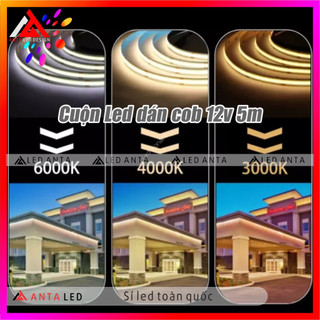 Cuộn led COB 12v 5m siêu sáng, led dán COB