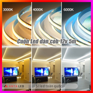 Cuộn led COB 12v 5m siêu sáng, led dán COB