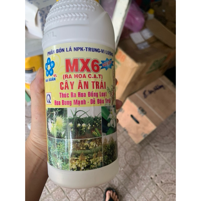 MX6 CAT 1 lít ra hoa đồng loạt