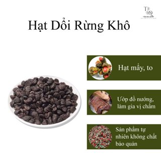 Hạt Dổi Rừng Khô - Gia Vị Âm Thực Nổi Tiếng Tây Bắc TIỆM NHÀ QUỲNH