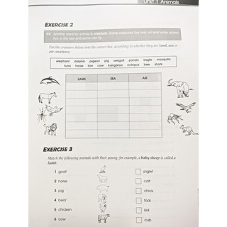 Sách - The Vocabulary Files – A2 level