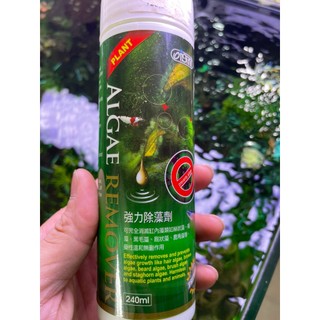 Dung dịch diệt rêu, tảo Ista Algae Remove cho bể thuỷ sinh, cá cảnh
