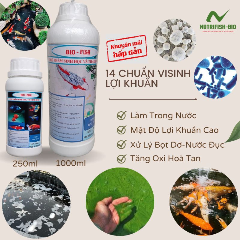 Men Vi Sinh Bio fish ( 1000ml ) cho các loại cá cảnh, koi, thủy sinh ....