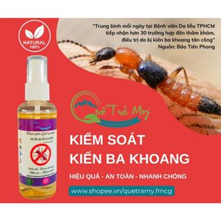 Chai xịt đuổi ruồi gián kiến ba khoang côn trùng hương quế - Quế Trà My 80ml hữu cơ khử mùi tinh dầu quế dầu thơm phòng