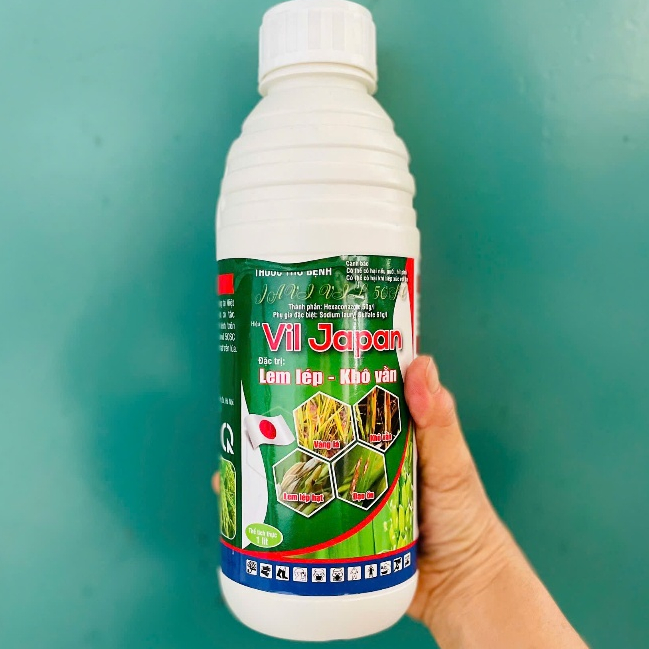 ANVIL NHẬT 50SC, lem lép, khô vằn, CHAI 1 LÍT