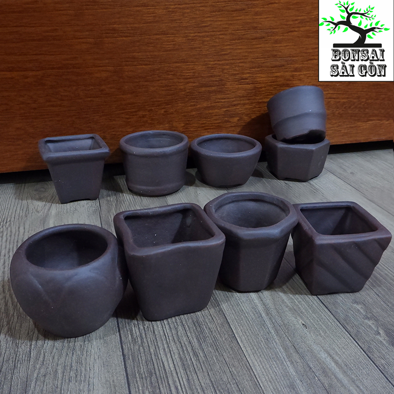 chậu bonsai mini đất đen 5x5