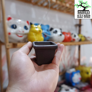 chậu bonsai mini đất đen 5x5