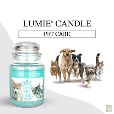 Nến Thơm Khử Mùi Thú Cưng Hàn Quốc LUMIE CANDLE Hủ Lớn 570g