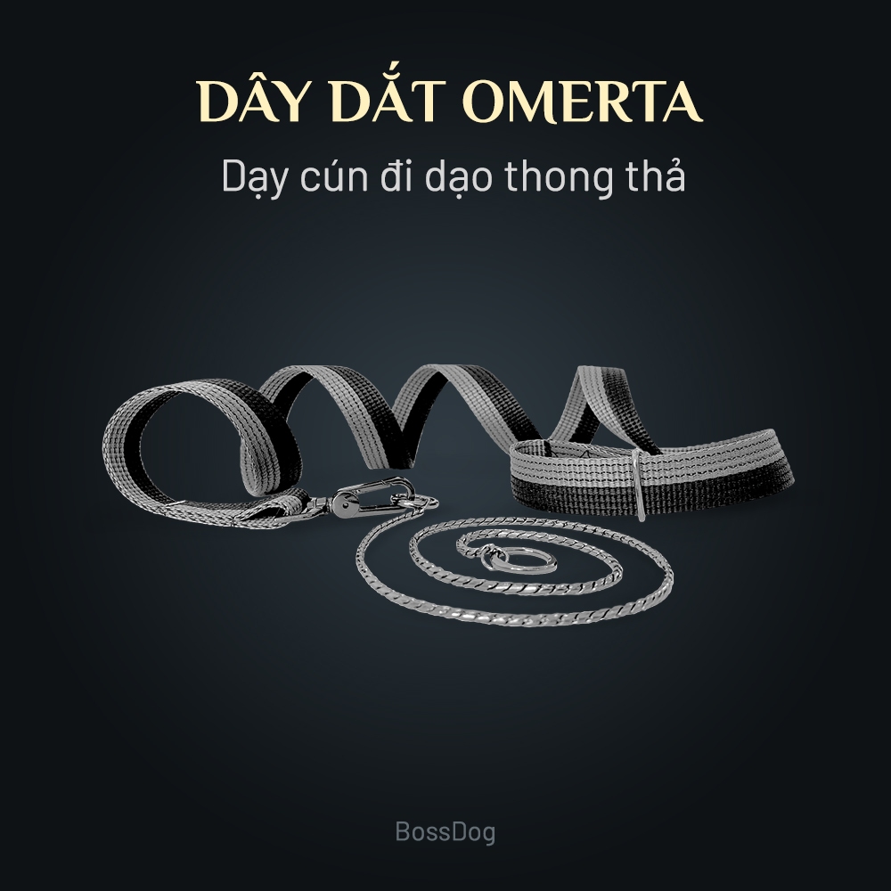 Dây dắt cho chó đi dạo kèm vòng cổ trung thành Omerta | BossDog