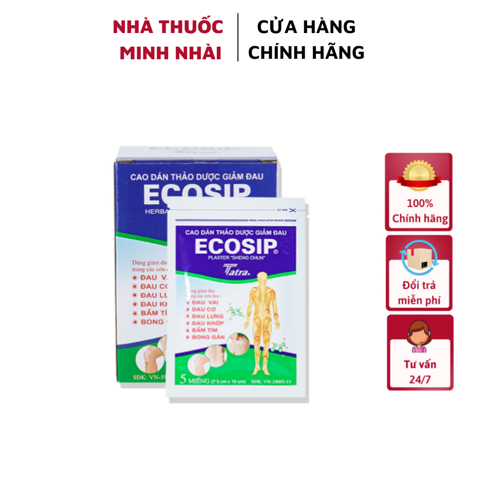 Cao Dán Thảo Dược Giảm Đau Ecosip Plaster - Tatra túi 5 miếng
