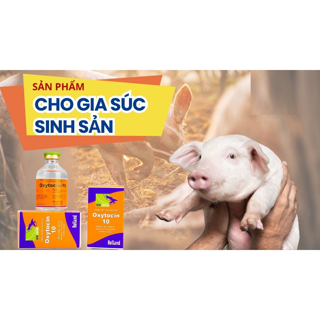 Thuốc thú y Oxytocin Interchemie Hà Lan thúc đẻ nhanh, kích tiết sữa trên chó mèo gia súc gia cầm