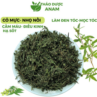 Cây nhọ nồi khô cỏ mực 1Kg làm đen tóc sạch thơm xanh không vụn MUC Thảo Dược Anam