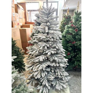 CÂY THÔNG PHỦ TUYẾT Levo 2m, 1m5 . CÂY THÔNG noel phủ tuyết 2m4 Levo T5