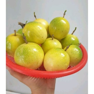 CHANH  DÂY  NGOT HƯƠNG ỔI