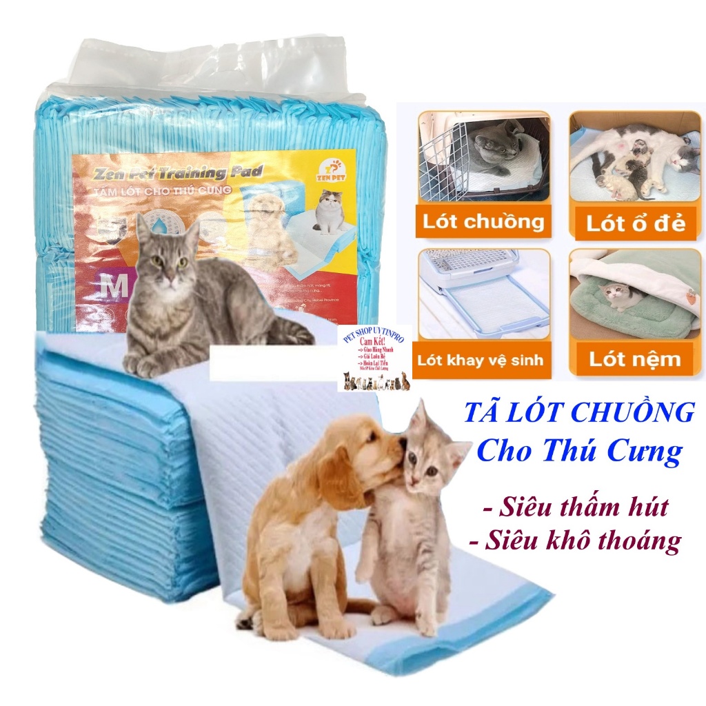 Tã lót chuồng cho Chó Mèo Zen Pet Training Pad 5 lớp Siêu thấm hút, khô thoáng, kháng khuẩn