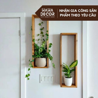 Kệ gỗ treo tường trang trí để cây cảnh được sơn phủ chống ẩm mốc mối mọt KGTT07