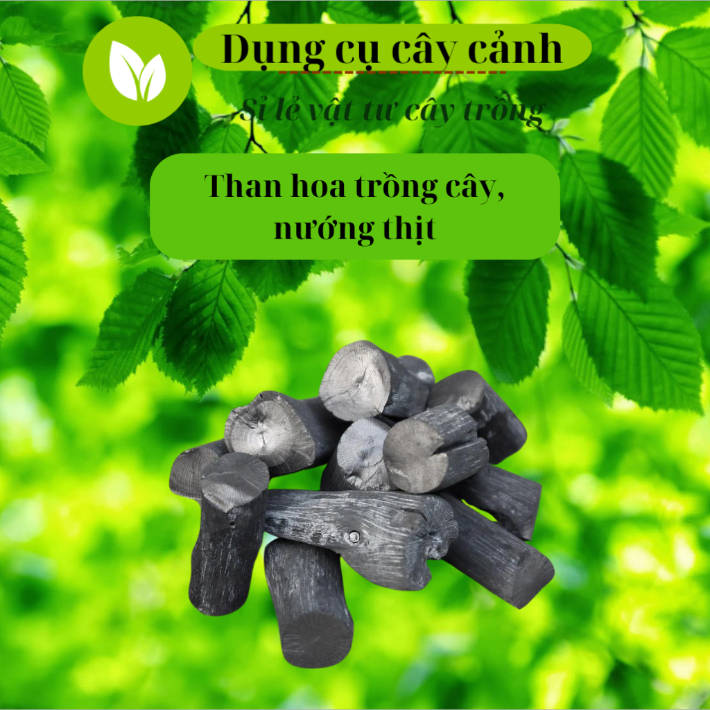 Than hoa, than củi HOA LAN ĐÔNG LA đã qua xử lý, dùng trồng hoa lan, trồng cây, nướng thịt, sạch sẽ, tiện lợi