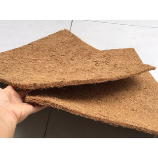 THẢM XƠ DỪA TRỒNG CÂY 50x50cm