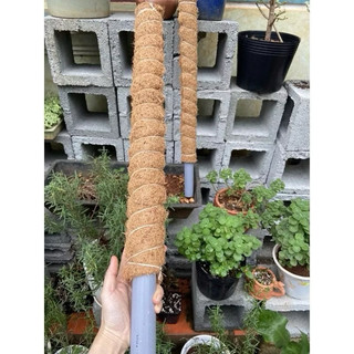 THẢM XƠ DỪA TRỒNG CÂY 50x50cm