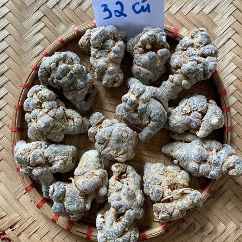 [CHÍNH HÃNG] Củ Tam Thất Bắc Hàng Chuẩn Lai Châu ( Giá Sốc )
