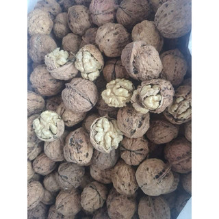 Quả Óc Chó Giấy vỏ siêu mỏng 1Kg