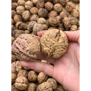 Quả Óc Chó Giấy vỏ siêu mỏng 1Kg