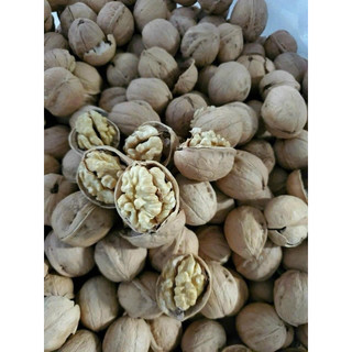 Quả Óc Chó Giấy vỏ siêu mỏng 1Kg