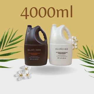 Dầu xả Olorchee can 4000ml