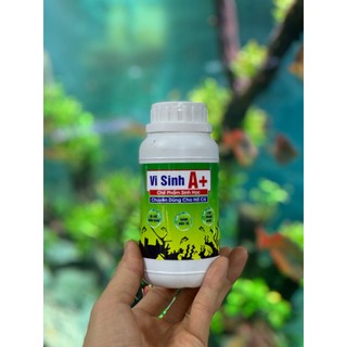 Chế phẩm vi sinh A+  dành cho hồ koi, hồ cá cảnh, khử tanh hôi cho bể cá