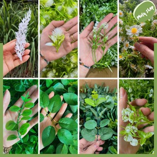 100g Hoa Baby, Cúc Họa Mi, Hồng Gân, Táo Non, Hoa Nhí, Cỏ Tuyết Cỏ Điểm Trang Trí Giỏ Quà, Hộp Quà, Bó Hoa Tươi, Hoa Sáp