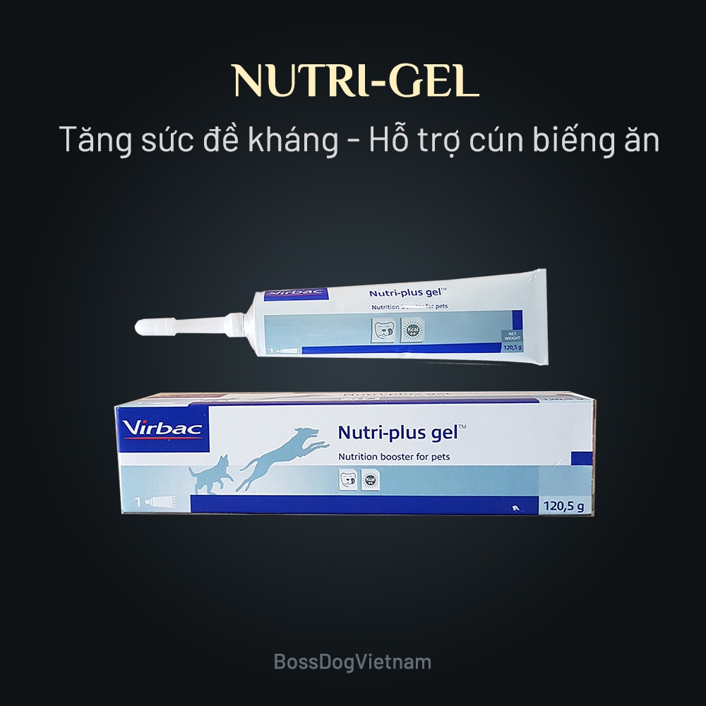 Gel Dinh dưỡng cho chó - Bổ sung Vitamin khi chó biếng ăn, tăng đề kháng | BossDog