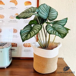 Cành cây giả Decor - Cành cắm mini