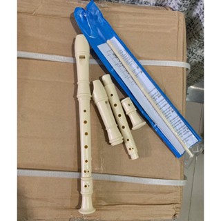 Sáo recorder 8 lỗ phục vụ lớp 4,5,6,7,chất lượng cao phù hợp trường học mã 109