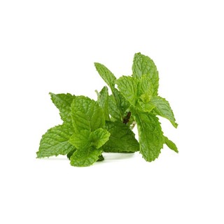 RAU HÚNG LỦI RADO 931 (0,2gr)