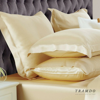 Vỏ Gối Lụa NITE9SILK TRAMDOBEDDING Đa Dạng Màu Sắc